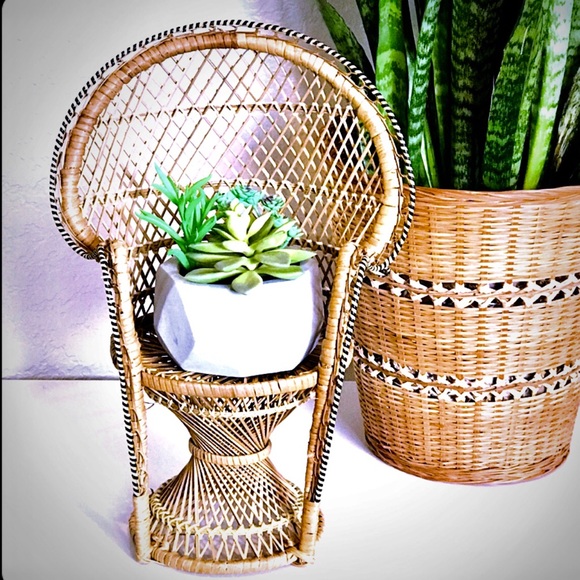 Other - Mini BOHO Wicker Peacock Stand Plant Holder Stand